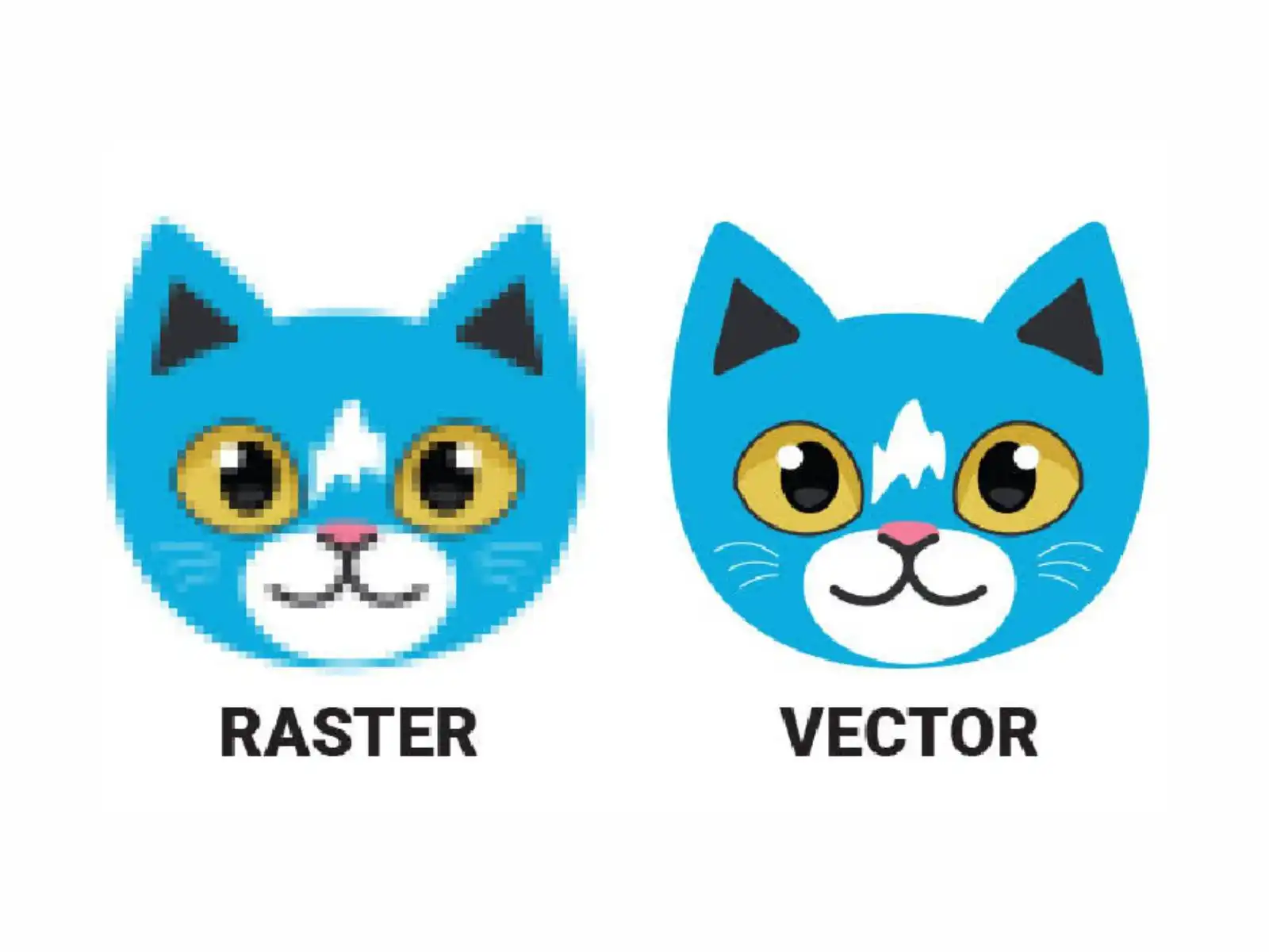 Vector Tracing 1