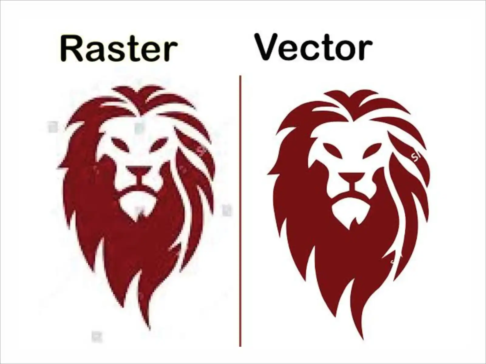 Vector Tracing 3