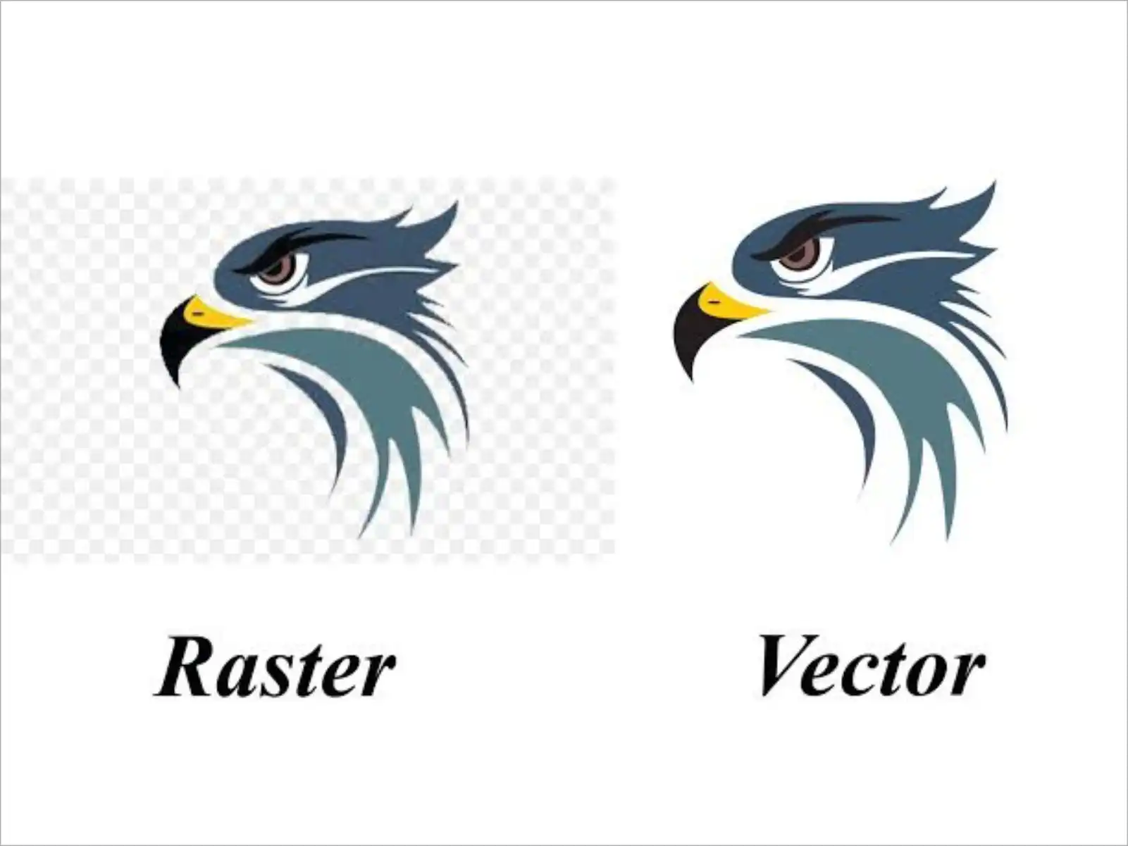 Vector Tracing 4