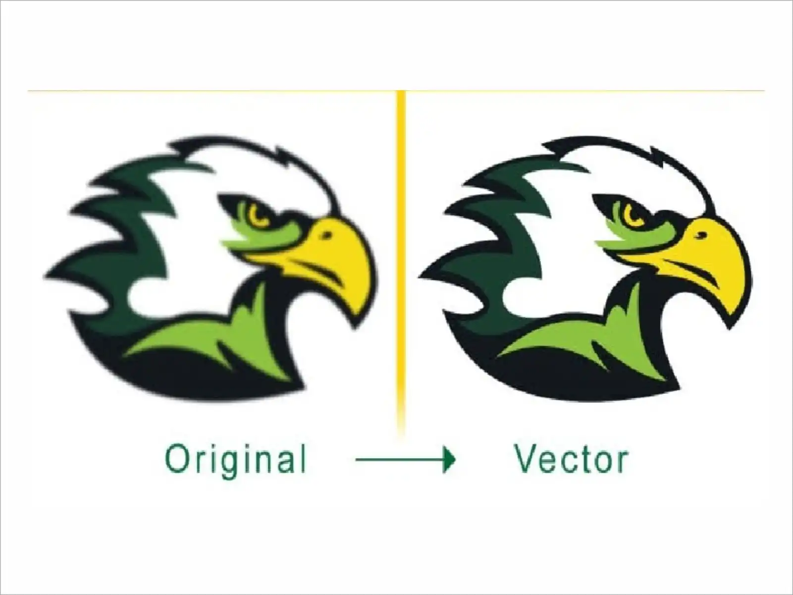 Vector Tracing 6
